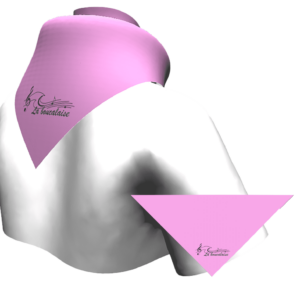 existant foulard 4